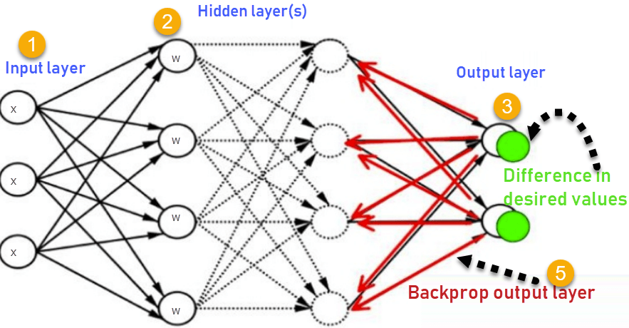 backpropagation.png